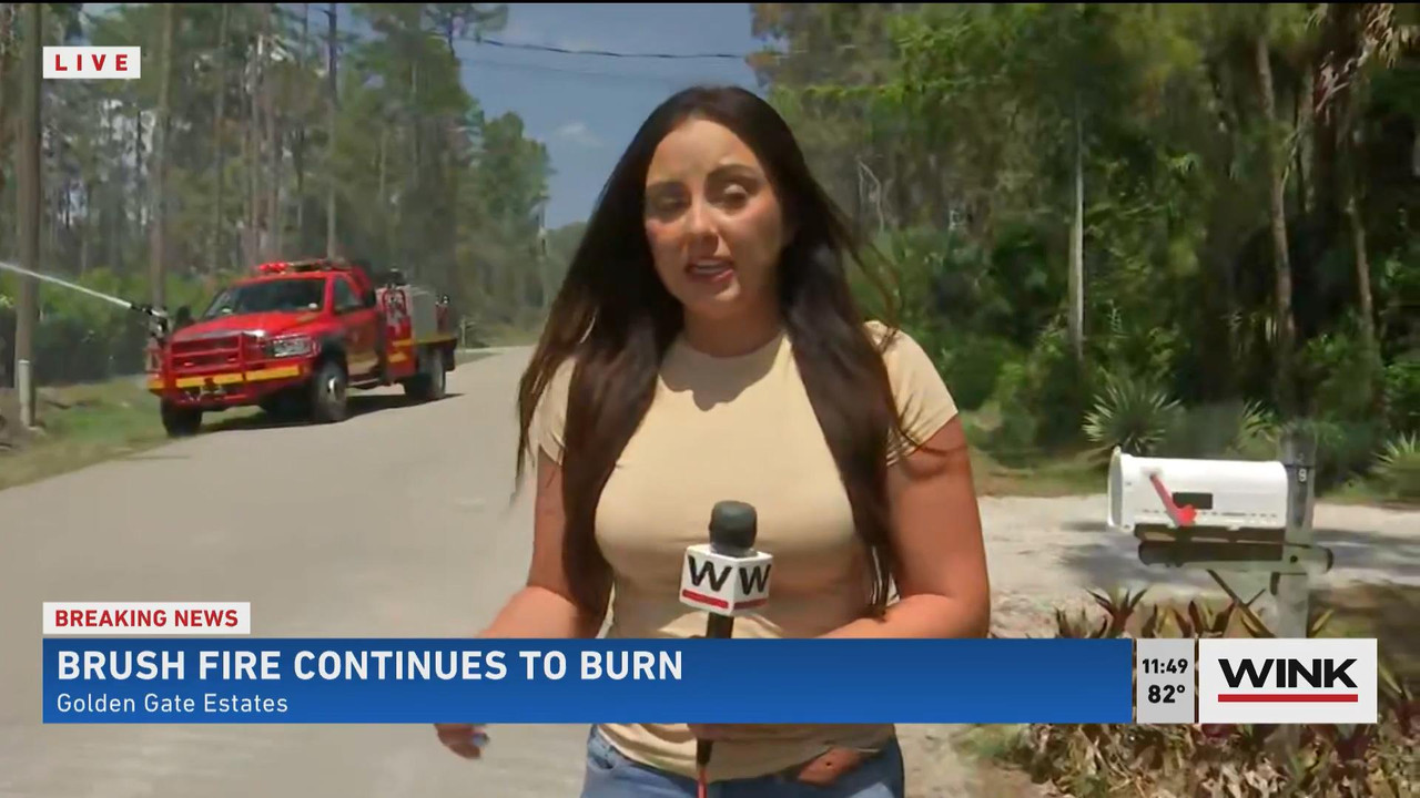 05.23 - 16.30.00 - WINK News @ 11 30AM. Local news, sports and weathe....ts_snapshot_17.18_[2021.05.