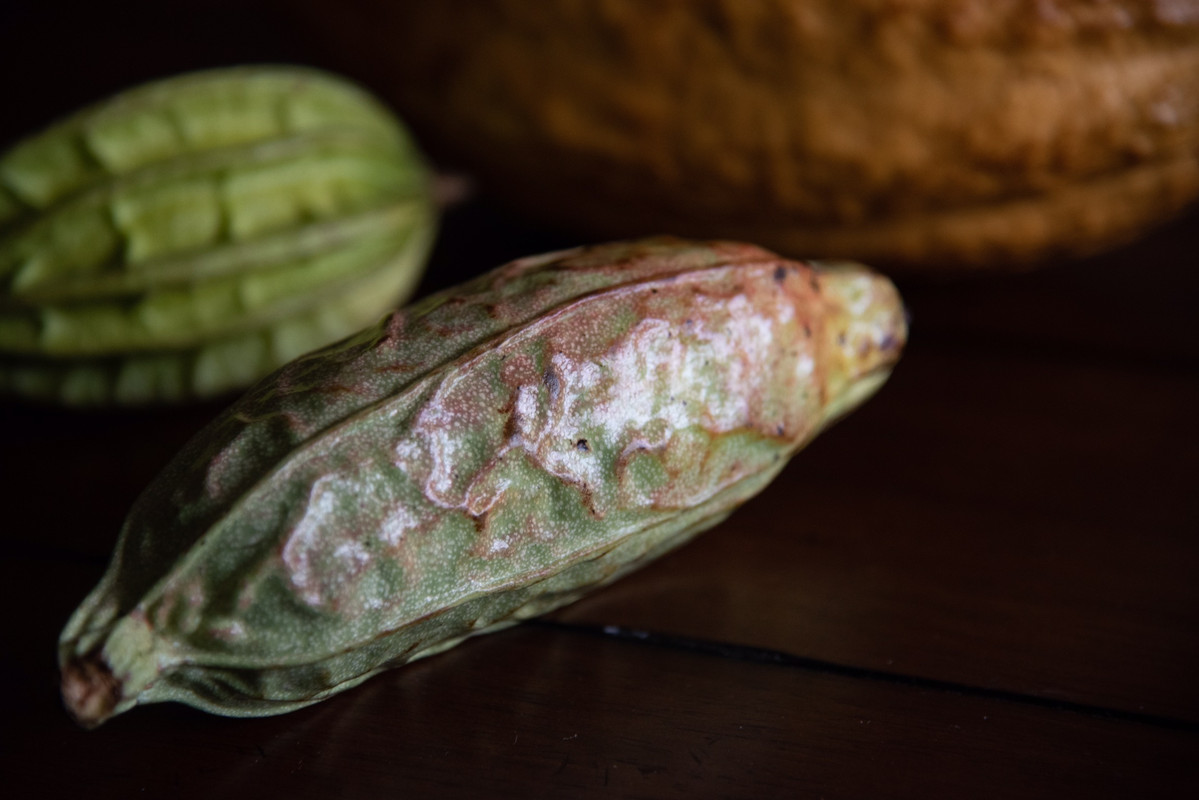 99FBA961-3B4A-42F2-96C4-3425FBB5C174