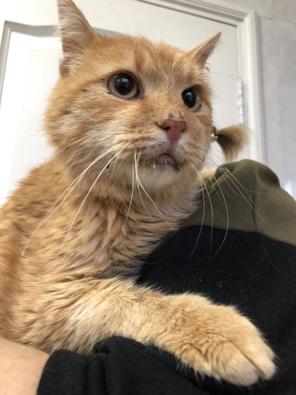 FD3D2D46-4131-4A17-B024-7270ABDB9360