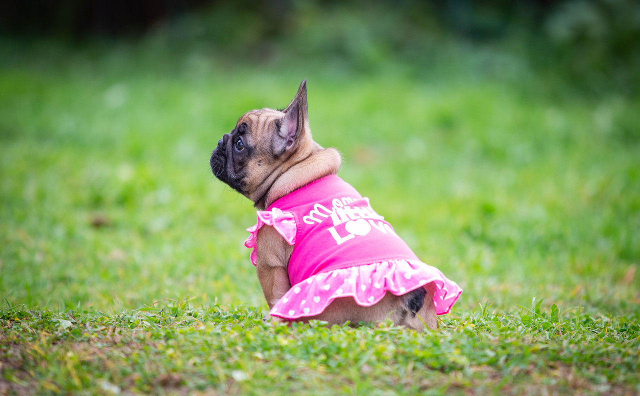 ,,,,,,,,, (1 из 1)