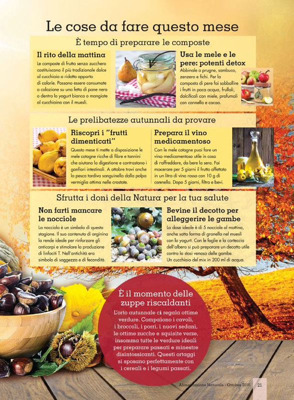 Alim Nat Ott 2016 (2)