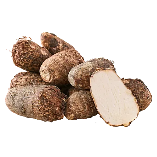 Colocasia - ghuiyaan arabee