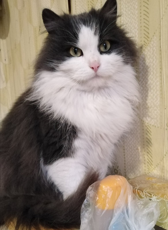 IMG-3ddaf3cad802b7338200cf7b9ee5e8ca-V