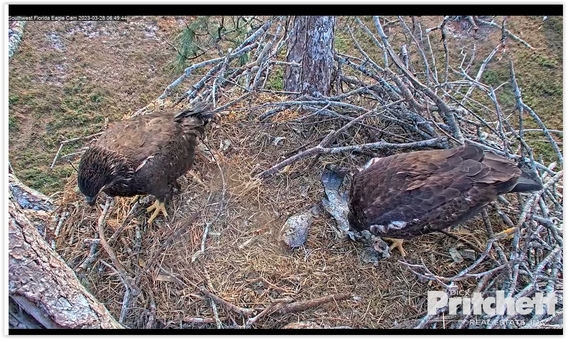 Screen Shot 03-28-23 at 02.50 PM