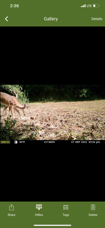 5979015E-927B-412D-8E7D-C8D2EC0CD0AE