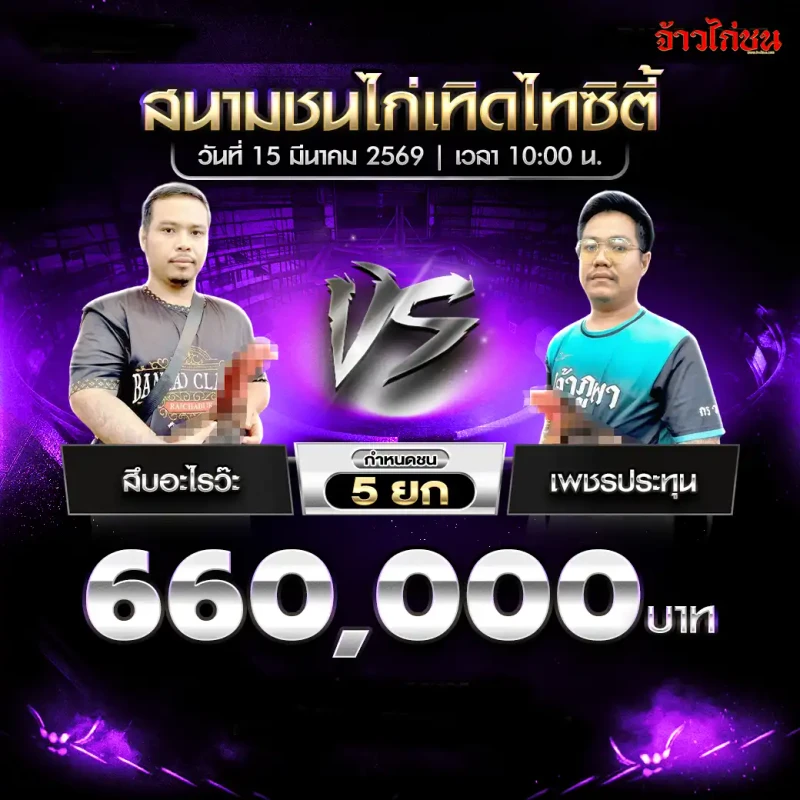 โปรแกรมไก่ชน คู่ สืบอะไรว๊ะ พบ เพชรประทุน สนามชนไก่เทิดไทซิตี้ 15 มีนาคม 2569