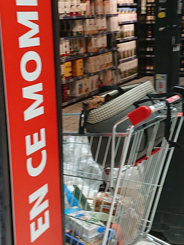 [Image: image000000-174.jpg]