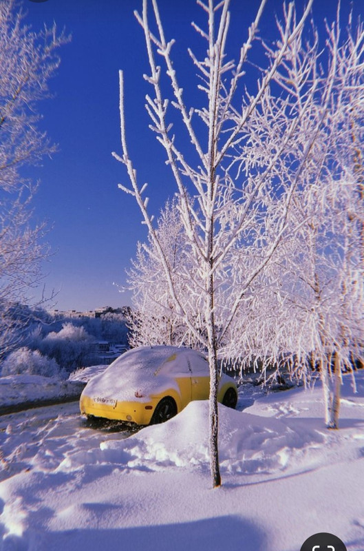 Screenshot_20231019_202026_Pinterest