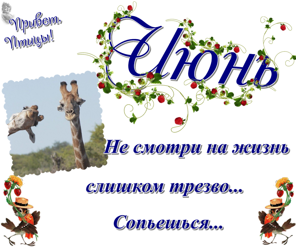 https://i.postimg.cc/sX0wswzp/02-06.png