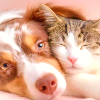 cuddle5