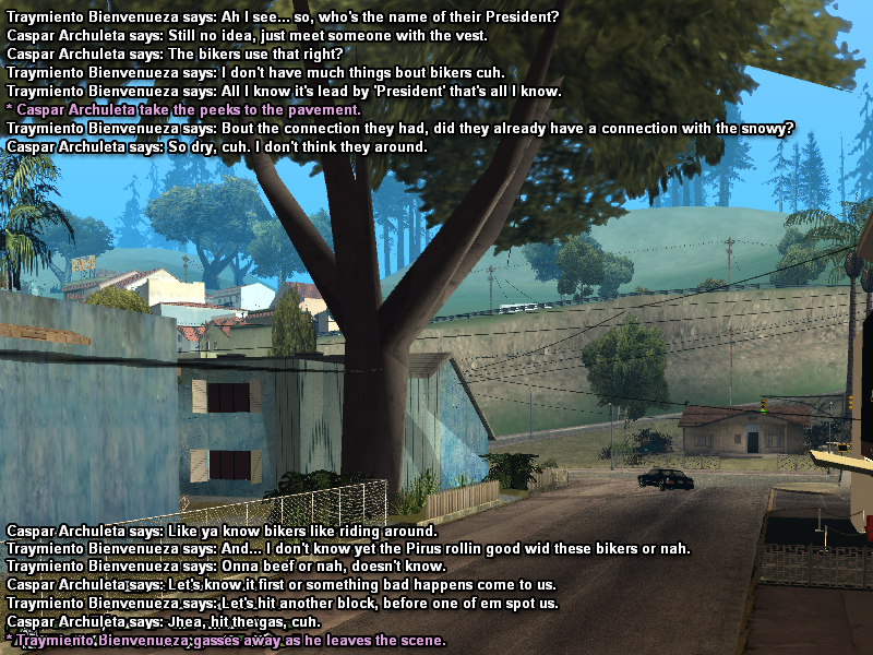 SS11.png