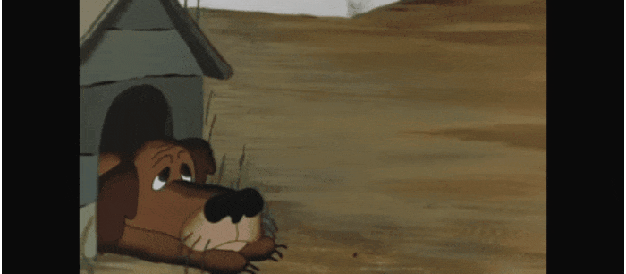GIF-20251027-073208-797.gif