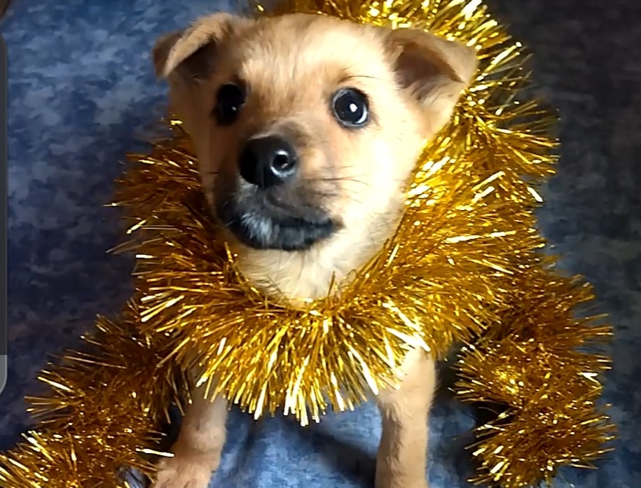 Screenshot_20240107-154023_Viber