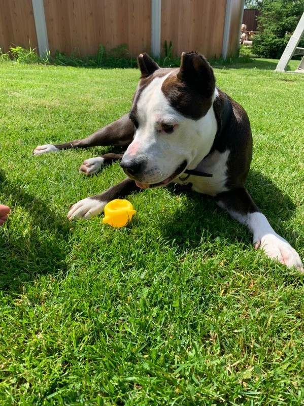 63BED8E3-9EF5-41A5-9F13-D71158105F9B