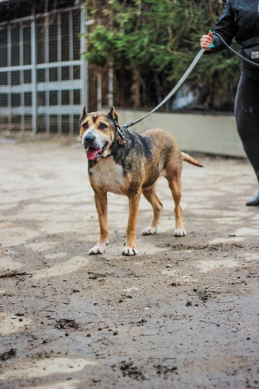 без имени-1346