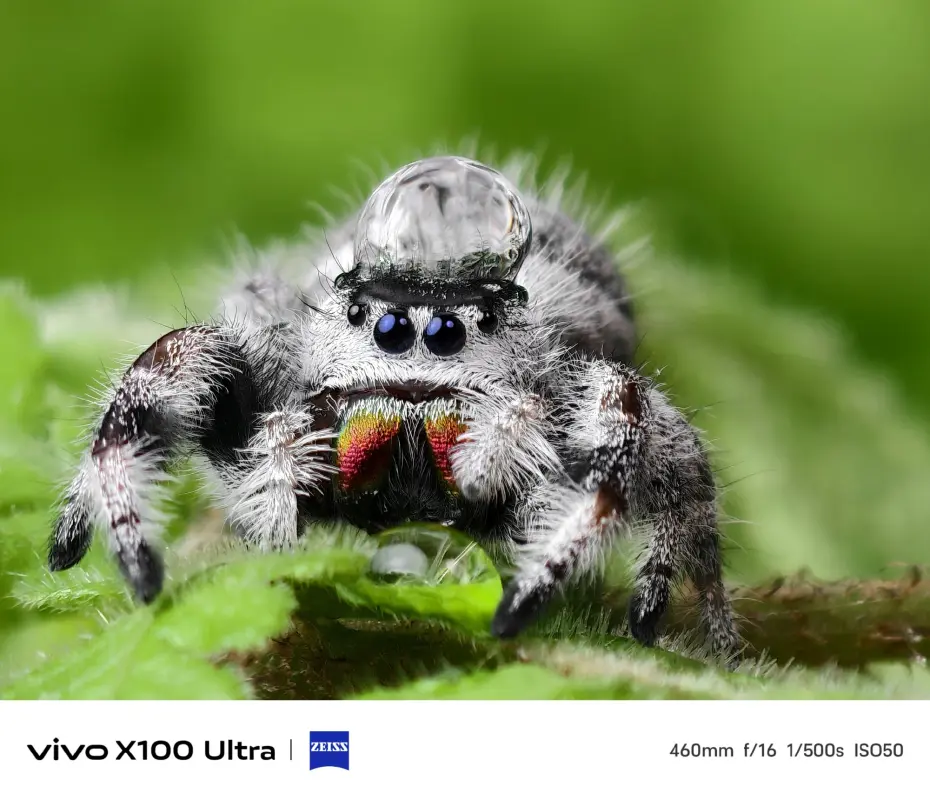 Vivo X100 Ultra camera samples