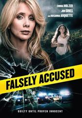 Falsely Accused (2016) WebDL 1080p E-AC3 ITA - ENG