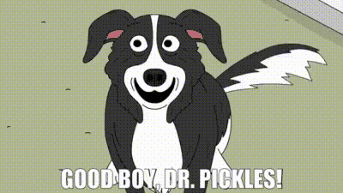 GIF-20250528-063147-843.gif