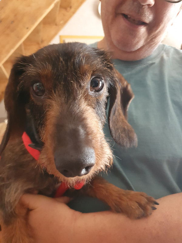 [Image: 20220618-091205.jpg]