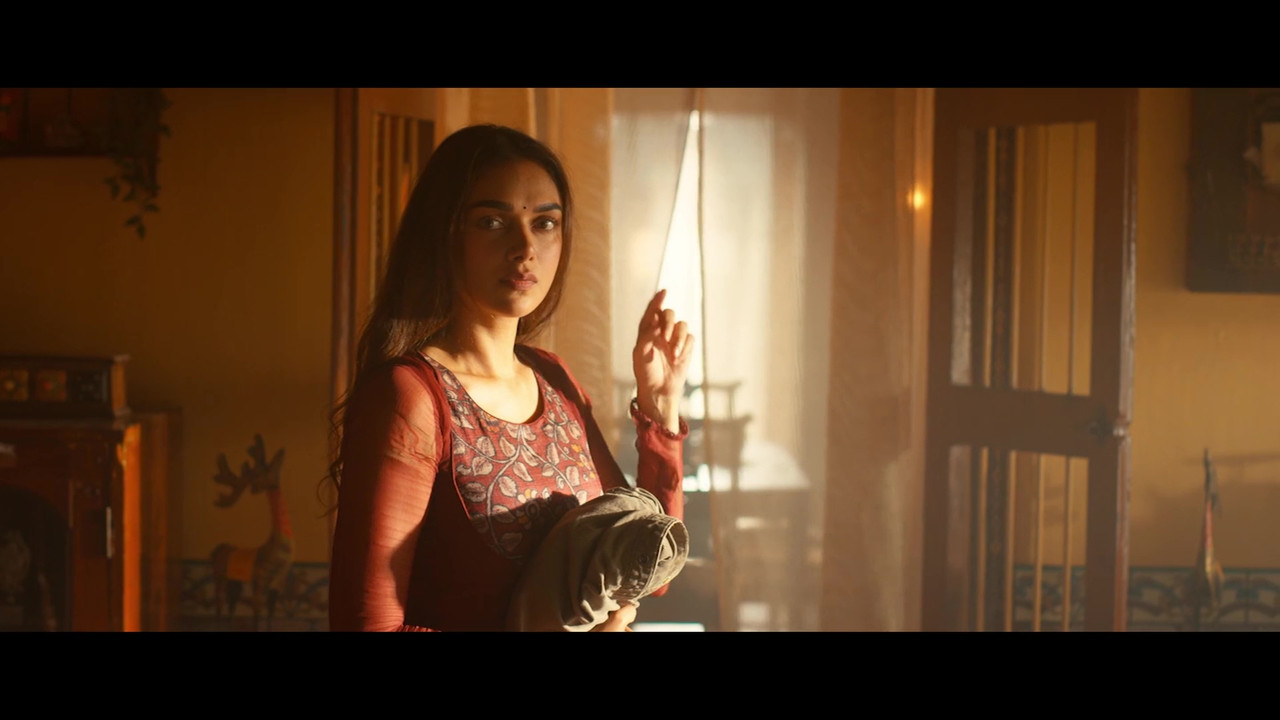 vlcsnap-2021-11-23-16h30m44s858