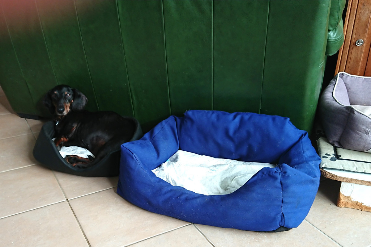 [Image: DSC-2031.jpg]