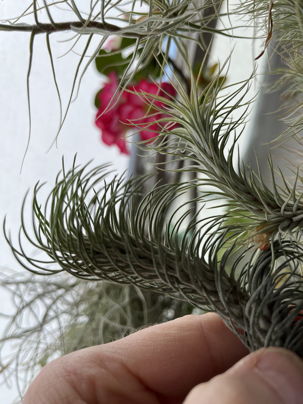 D538E0BD-224B-43A3-88E7-2DAD41E8E848