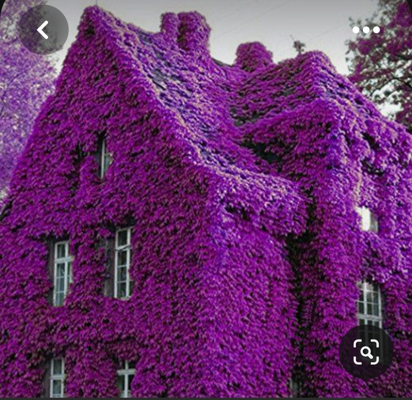 Screenshot_20230327_224104_Pinterest