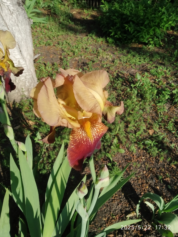 IMG_20250522_173215