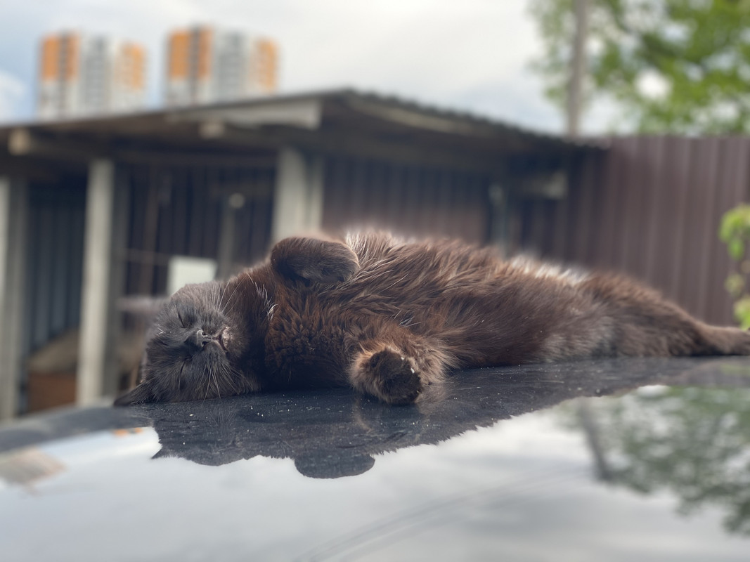 97F6F0E2-3F92-4A74-9B14-52EA6638C780