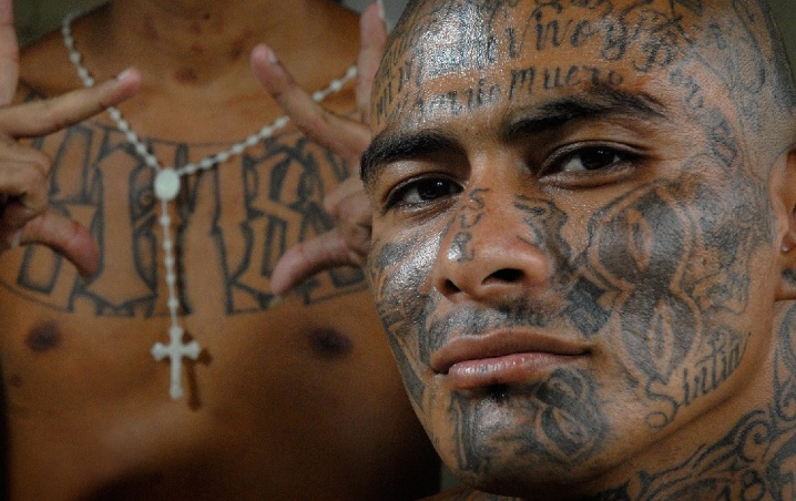 Mara Salvatrucha logra salvarse de ser erradicada en Estados Unidos 
