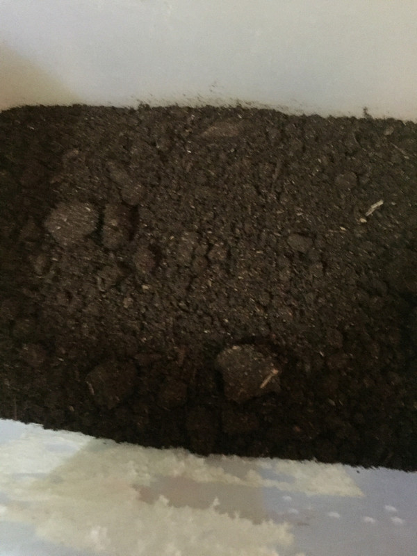 Is Vermi/Vermiculite safe for reptiles? r/bioactive