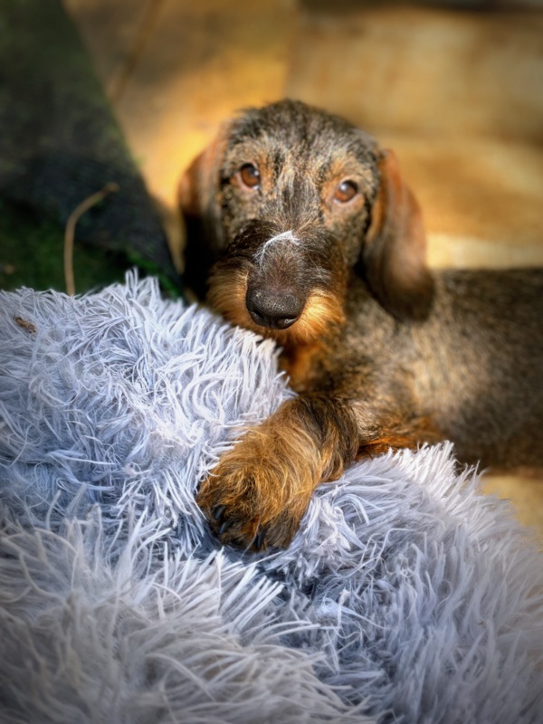 [Image: IMG-3601.jpg]