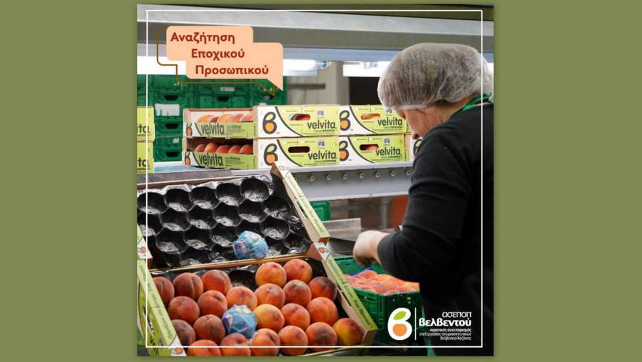 κοζάνη, ειδήσεις, νέα, Πτολεμαΐδα