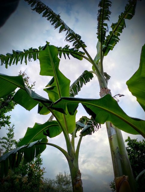 B2AC6579-EB72-45D0-96D7-278770F6F53D