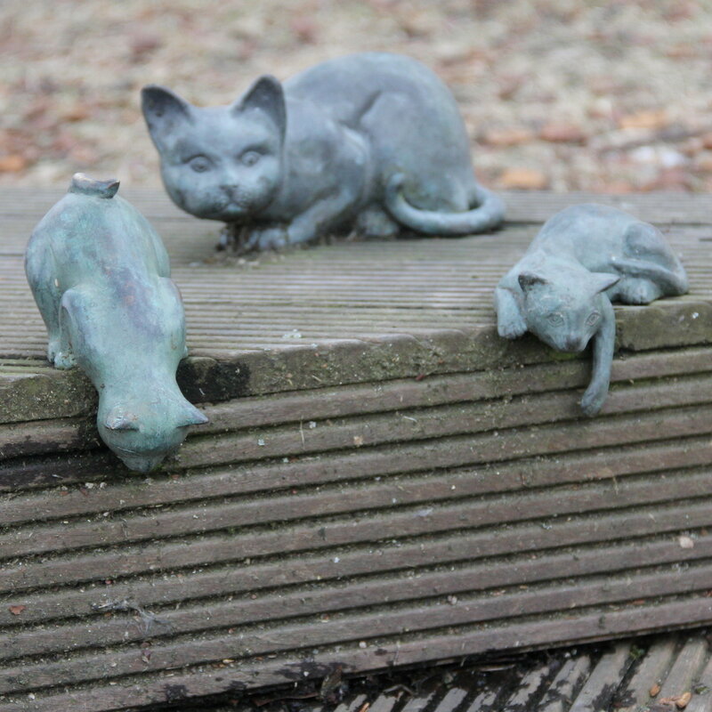 5492245509-b1dbac8164-o