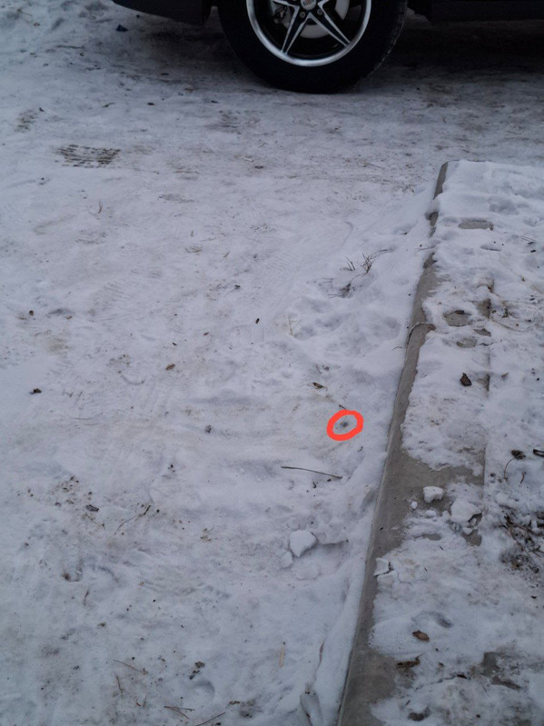 IMG 20251213 204925 955