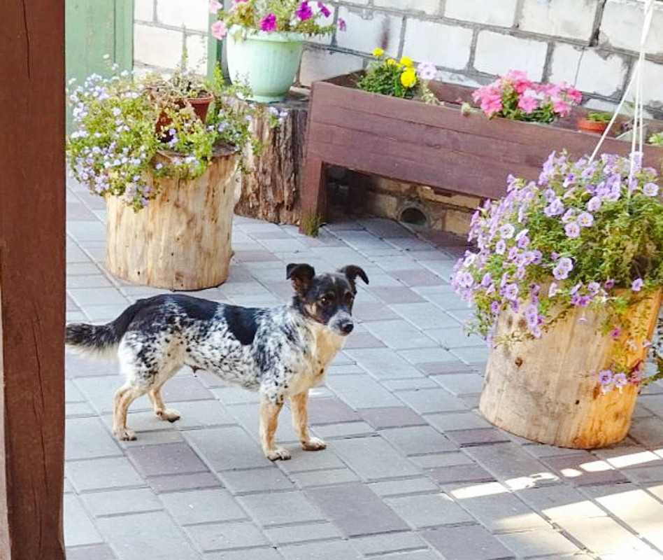 C7C362C5-9020-4168-84F7-AE76345D445F