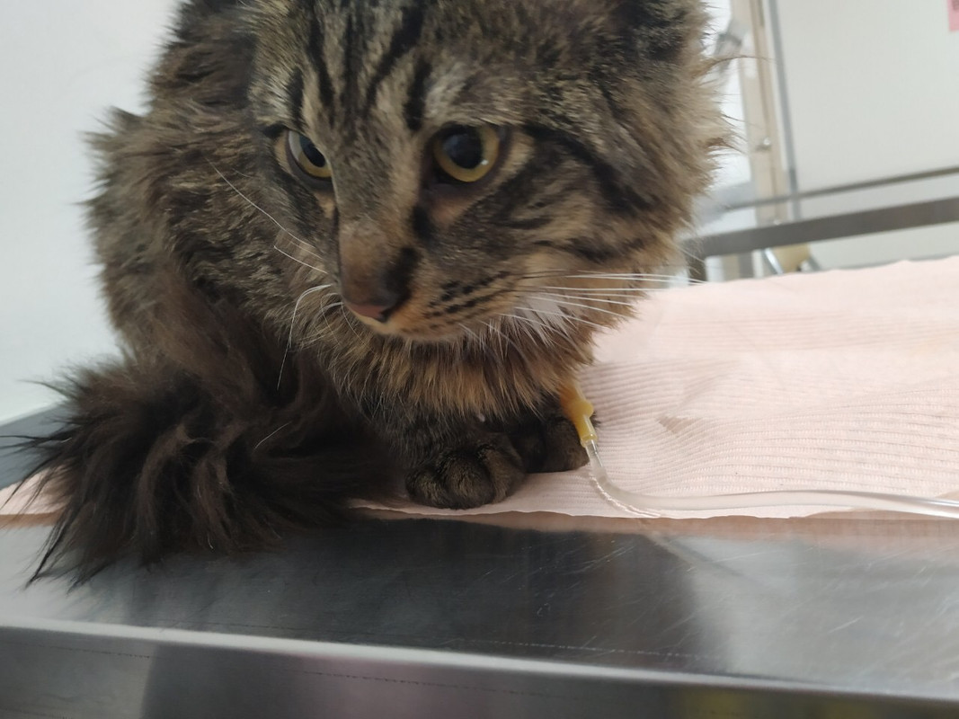 6CD551D0-E9C0-467C-80B4-B1C39BD2E970