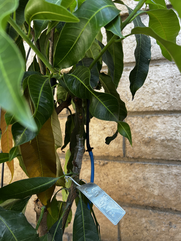 12F7BD2E-172D-47CE-B1FA-1A2BCD3073C8