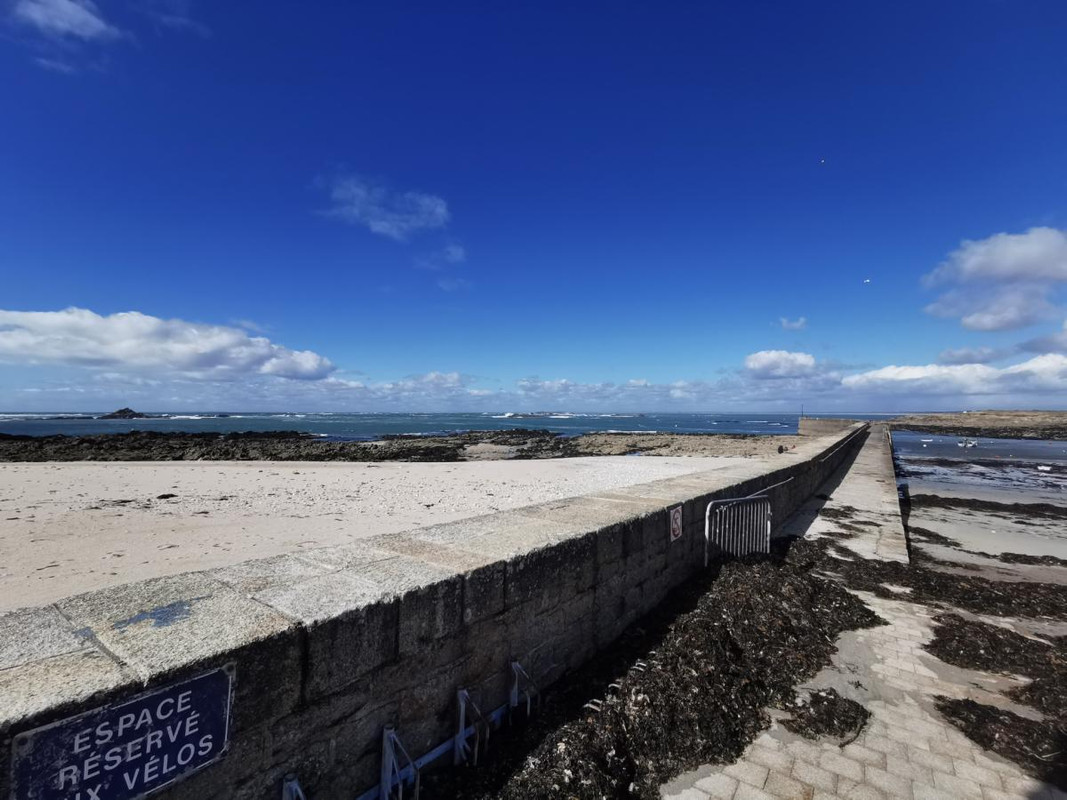 [Image: image000000-270.jpg]