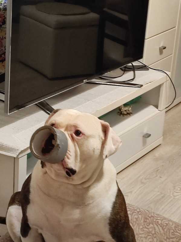 99C3948C-0EB3-46B1-872C-54C541849FE8