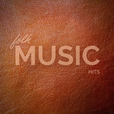 aa76760d 0f6d 4b3e b342 94d359c2246f - VA - Folk Music Hits (2021)