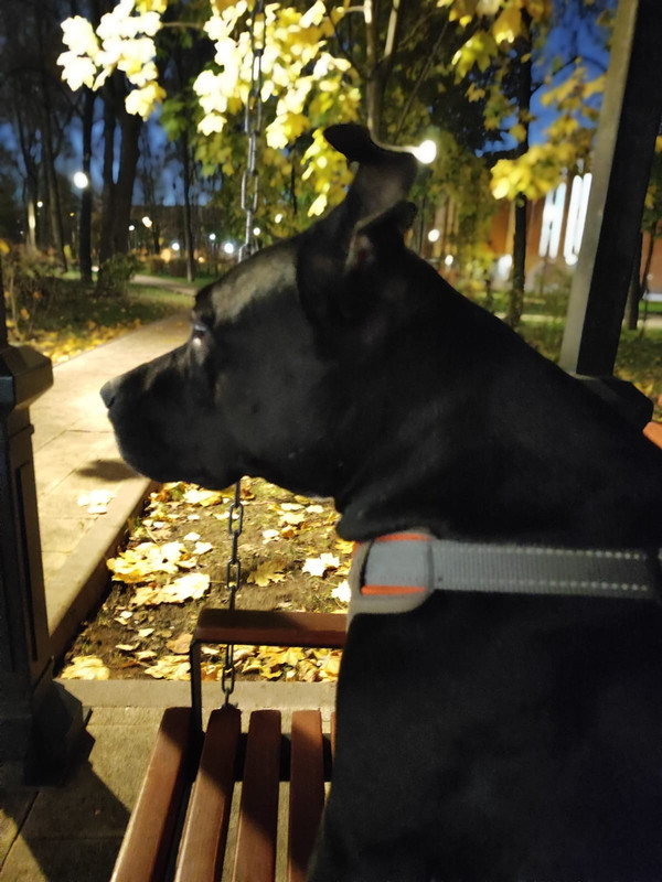 E30DDEAD-1BF0-47F7-AABB-830B875E0094