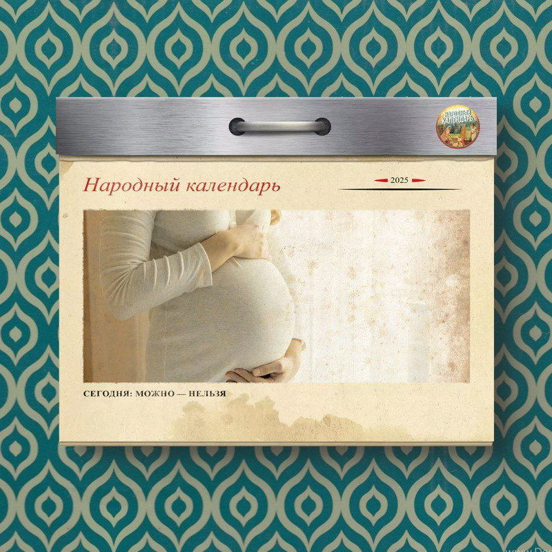 [Изображение: photo-2025-12-22-10-53-50.jpg]