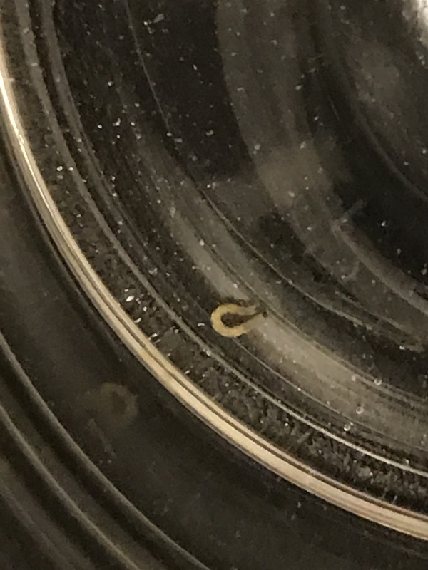 9F7FC629-5A4A-4D84-B7A4-22CF50A34AC3