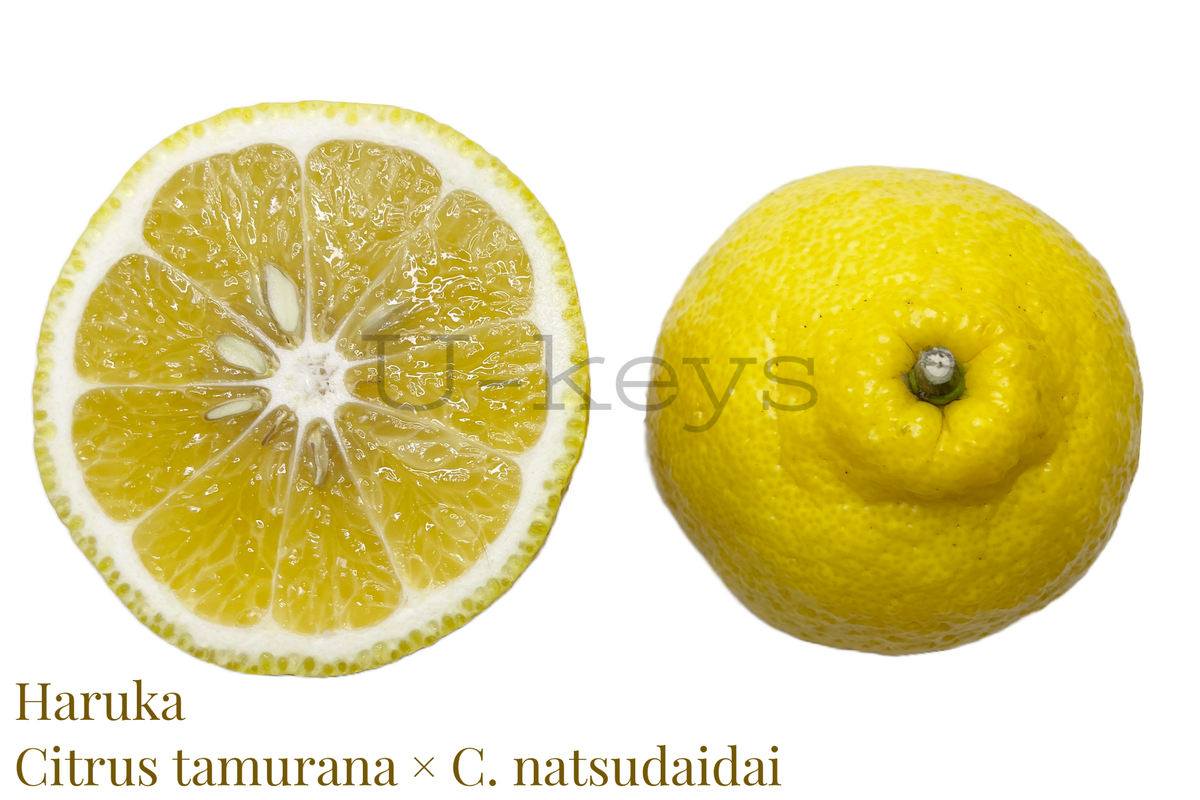 C973BF04-4126-4F20-B340-0CE746541624