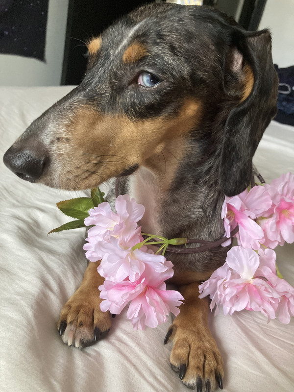 [Image: IMG-2818.jpg]