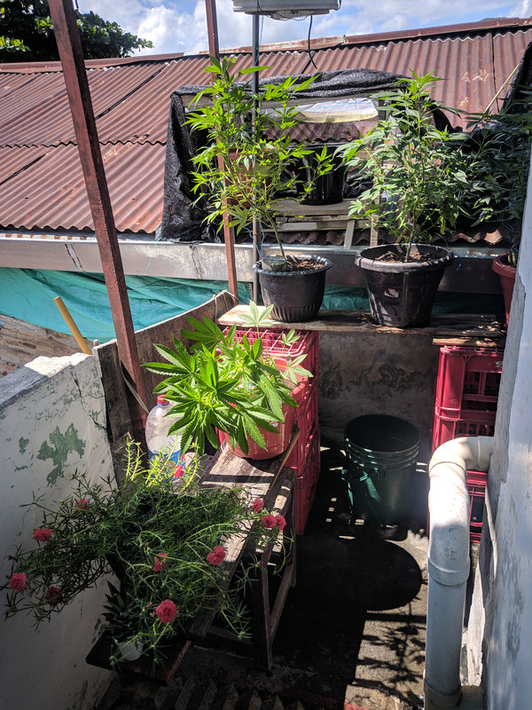 HC_20230111_120642_null