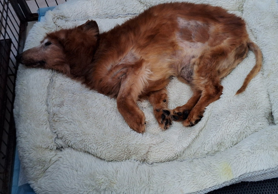 [Image: 20250606-205623.jpg]