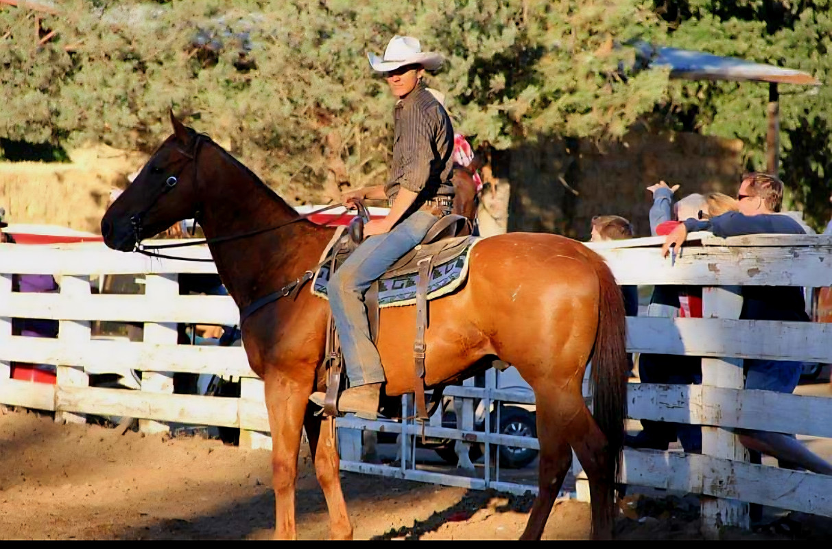 Screenshot_20250801_121240_Photos